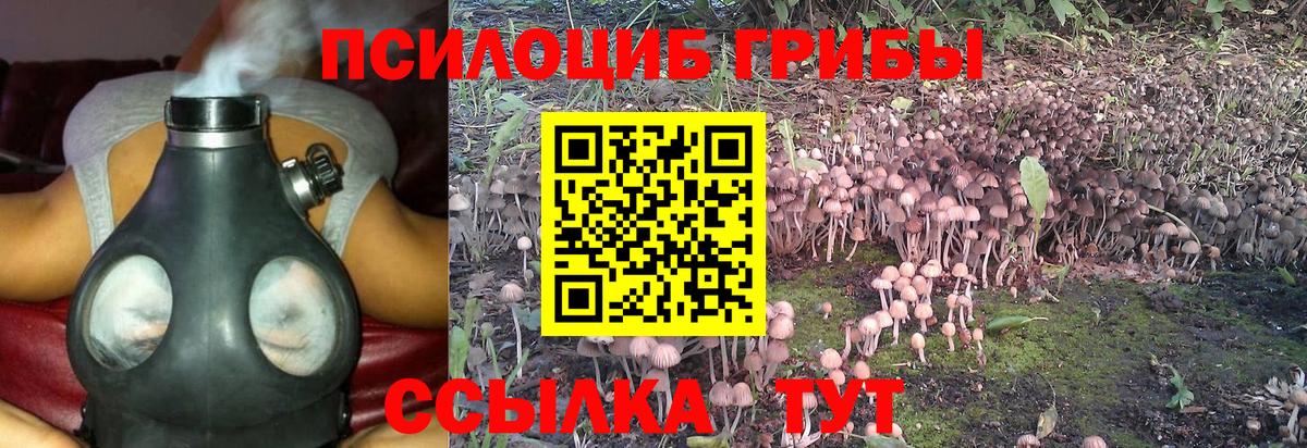 Галлюциногенные грибы Magic Shrooms  хочу наркоту  Галлюциногенные грибы Psilocybe  Артёмовский  Вход с VPN 
