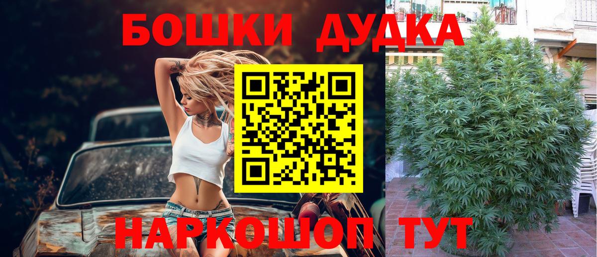 Шишки марихуана конопля Артёмовский